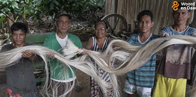 Fiber for the Future
