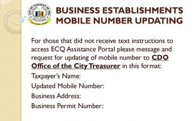 ECQ ayuda for affected MSMEs